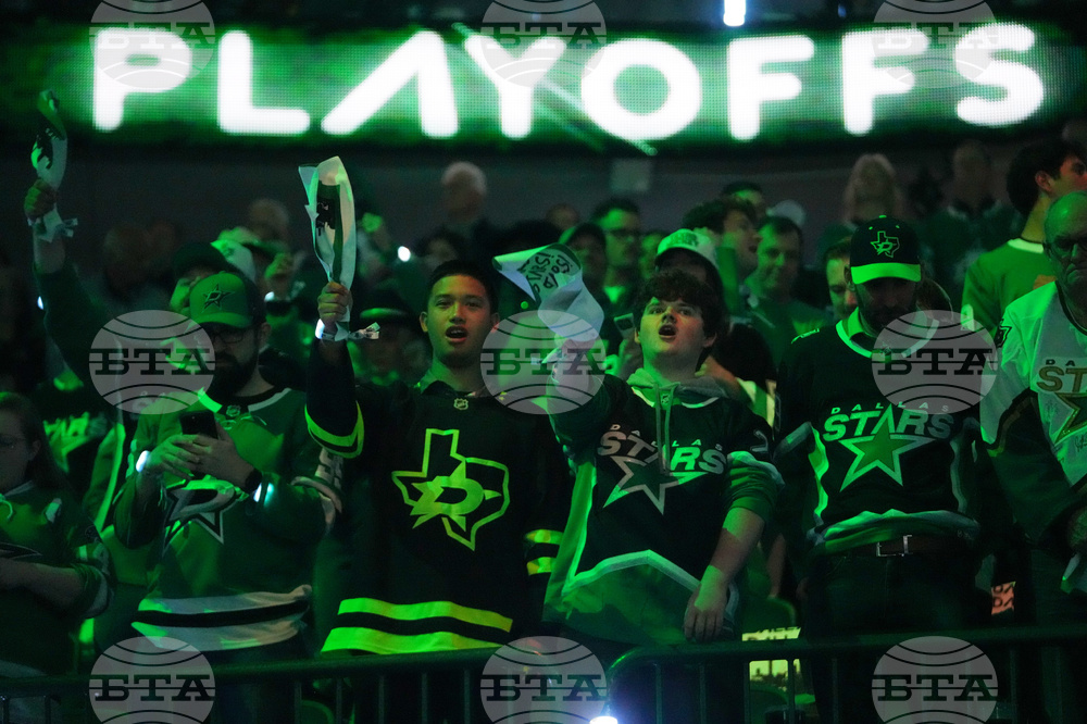 Wild Stars Hockey