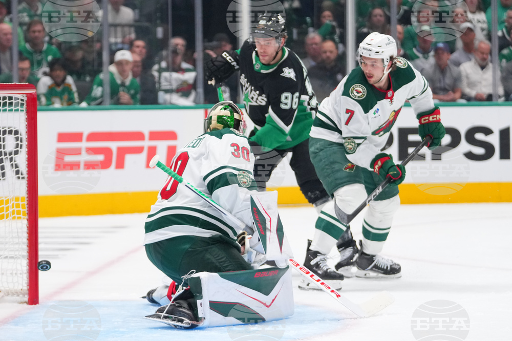 Wild Stars Hockey