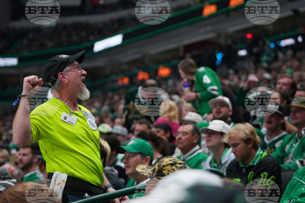 Wild Stars Hockey