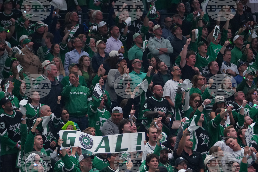 Wild Stars Hockey