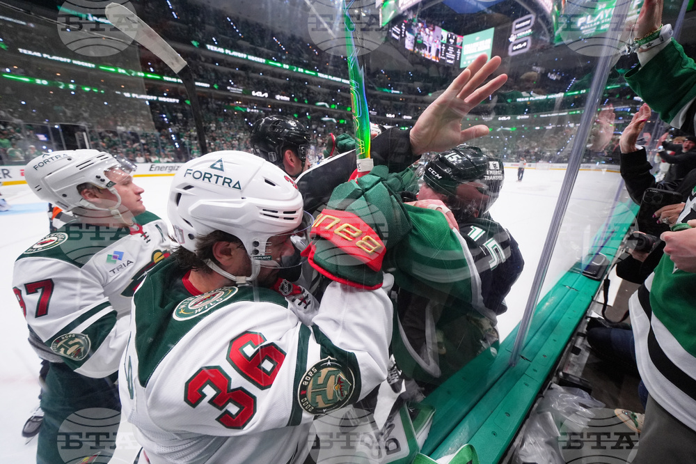 Wild Stars Hockey