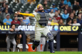 Diamondbacks Brewers Baseball