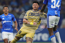 Brazil Argentina Copa Libertadores Soccer