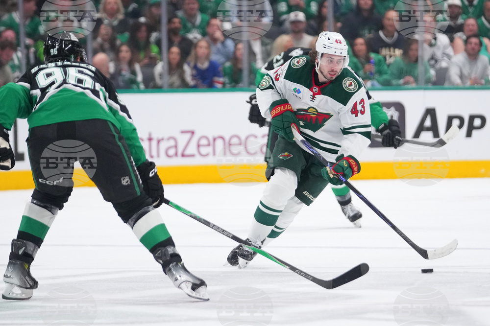 Wild Stars Hockey