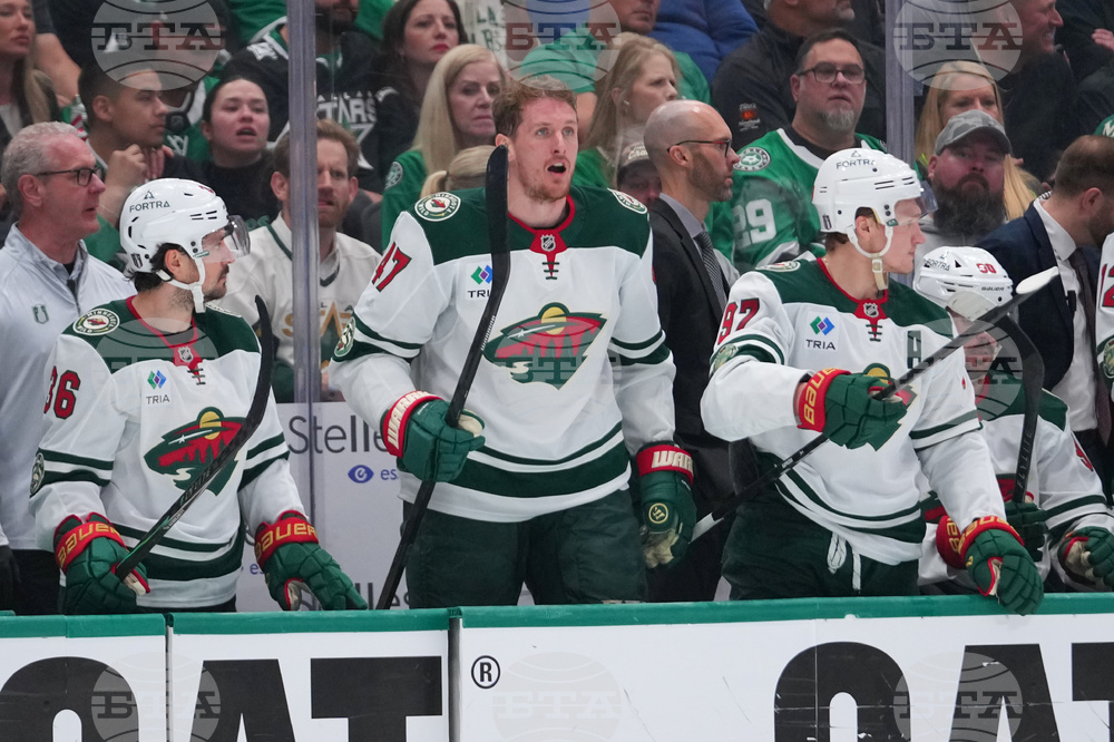 Wild Stars Hockey