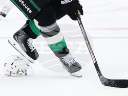 Wild Stars Hockey