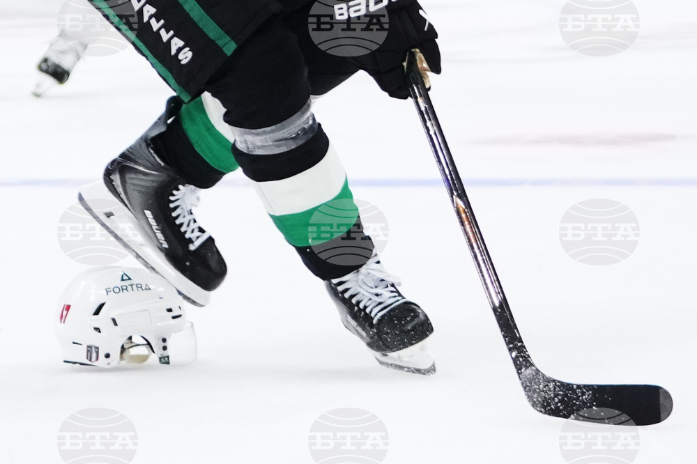 Wild Stars Hockey