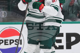 Wild Stars Hockey