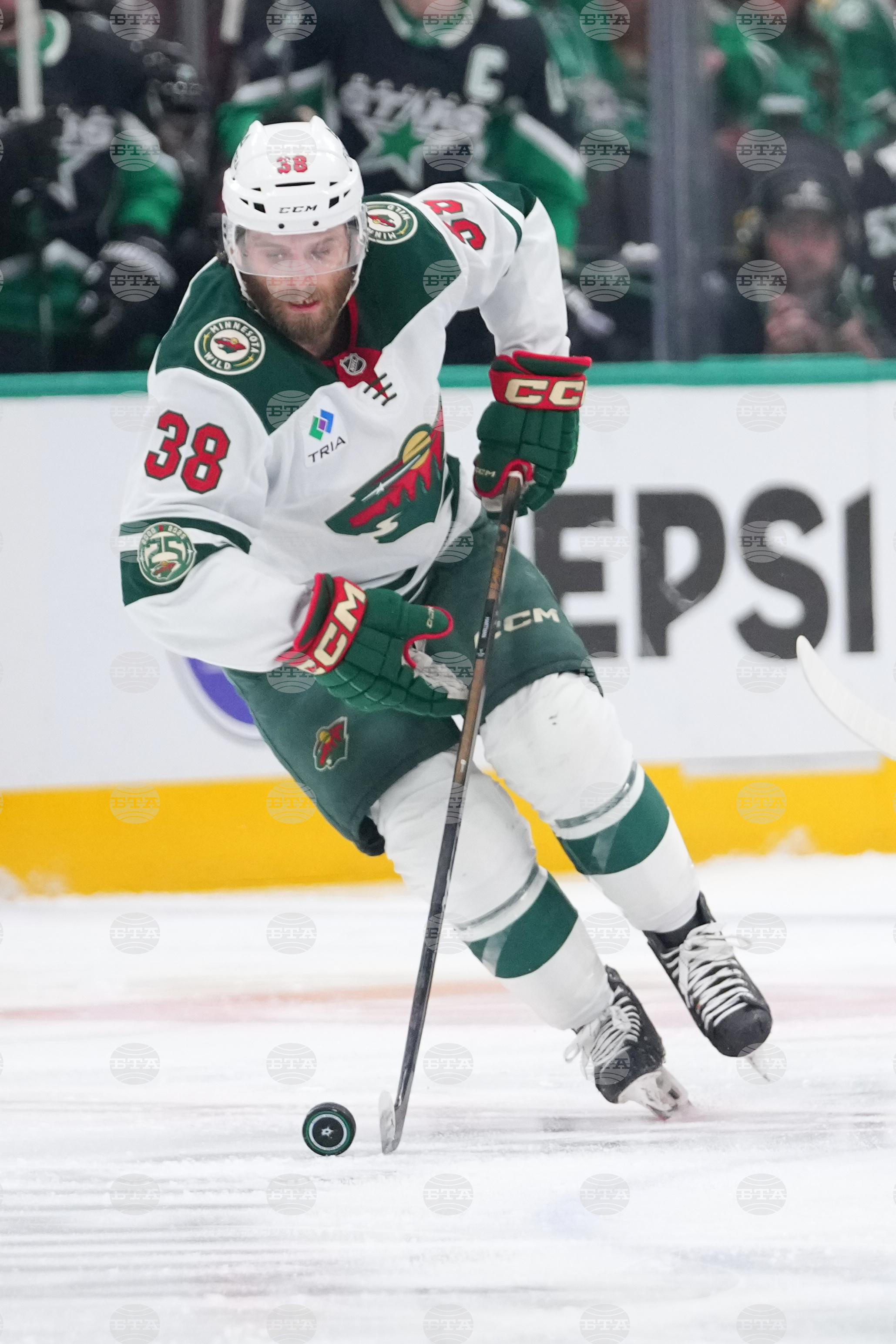 Wild Stars Hockey