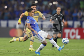 Brazil Argentina Copa Libertadores Soccer