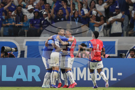 Brazil Argentina Copa Libertadores Soccer