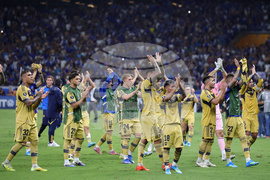 Brazil Argentina Copa Libertadores Soccer