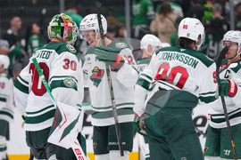 Wild Stars Hockey