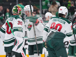 Wild Stars Hockey