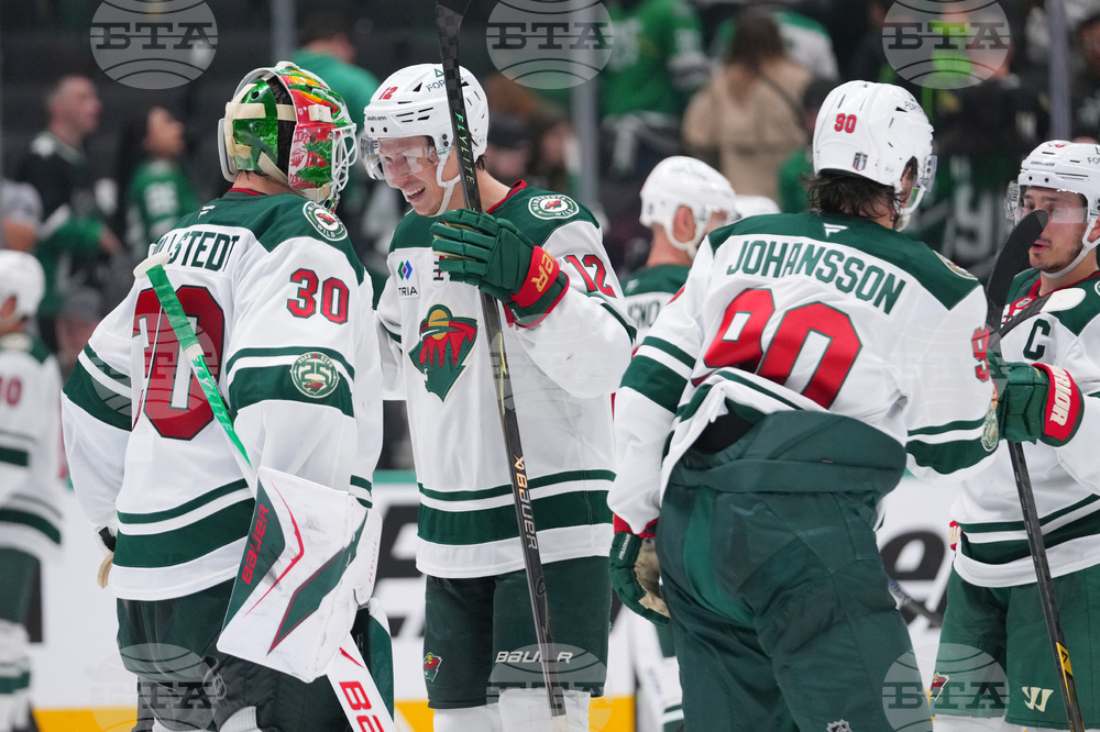 Wild Stars Hockey