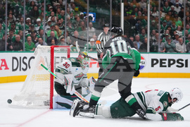 Wild Stars Hockey