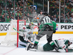 Wild Stars Hockey
