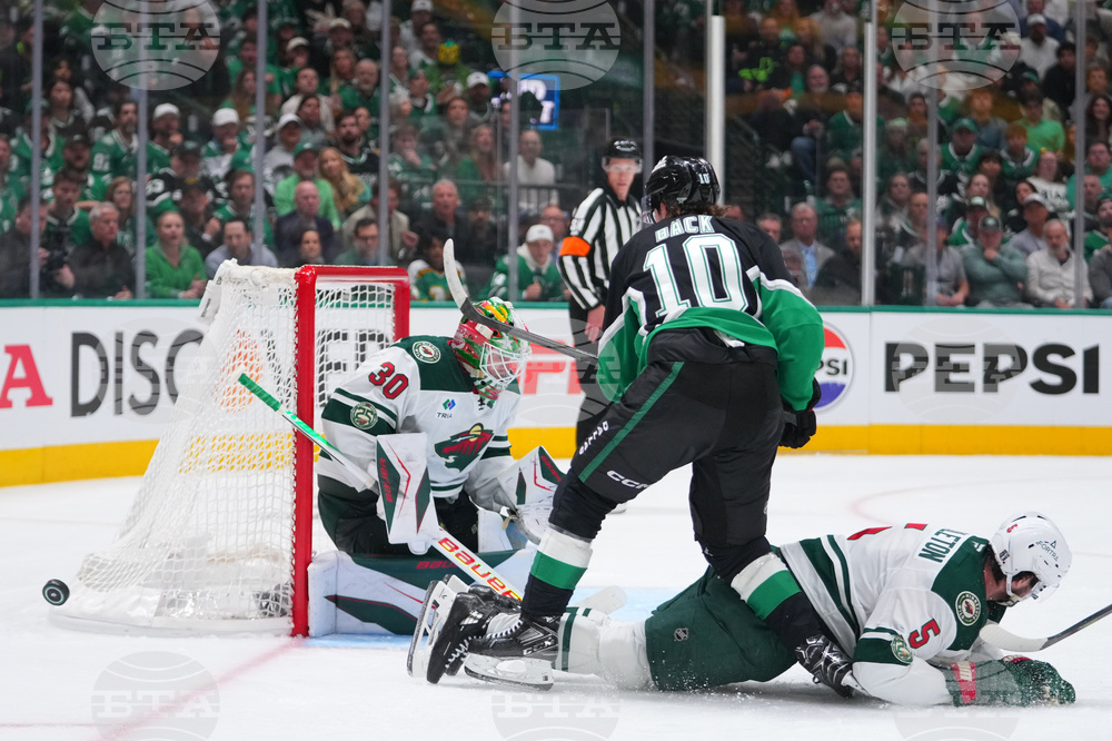 Wild Stars Hockey