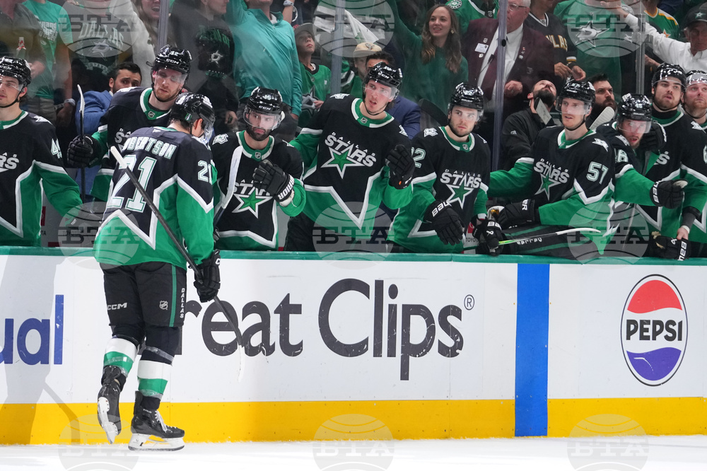 Wild Stars Hockey