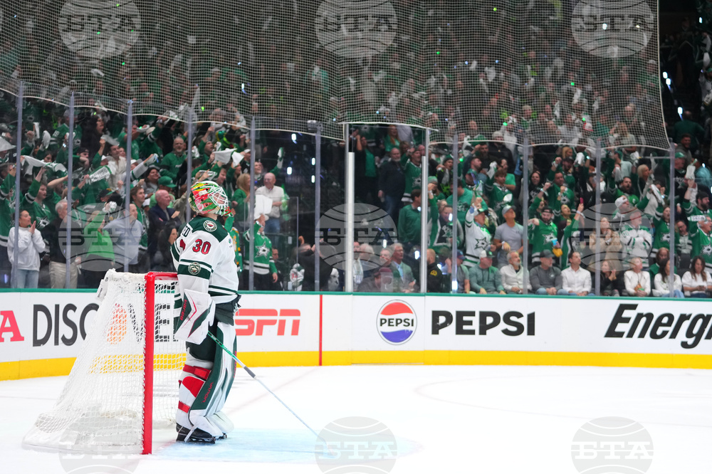 Wild Stars Hockey