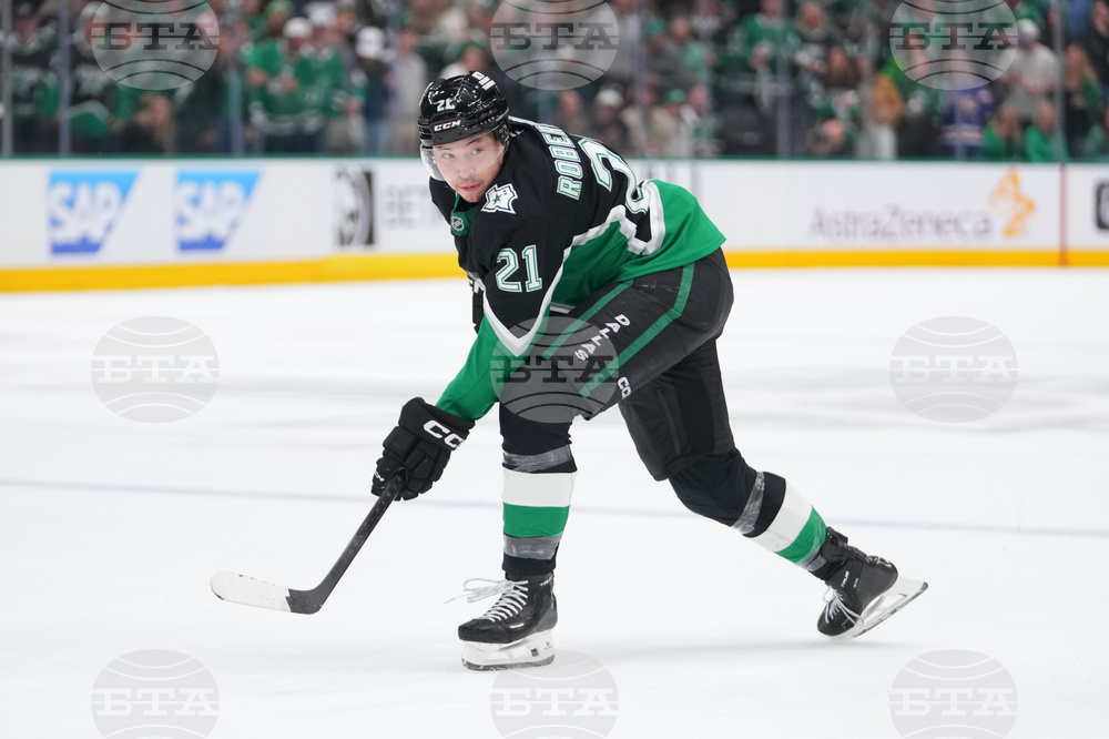 Wild Stars Hockey