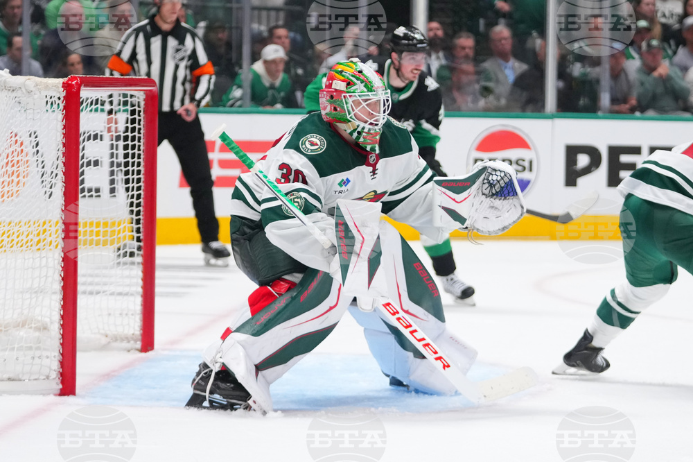 Wild Stars Hockey