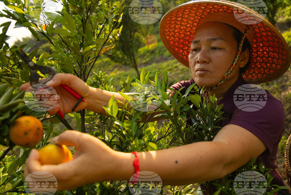 Thailand Rare Earth Photo Gallery