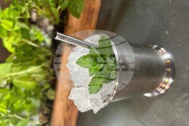 Food-Mint Julep-Cocktails