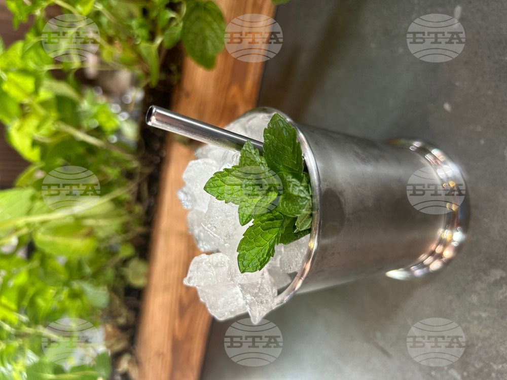 Food-Mint Julep-Cocktails