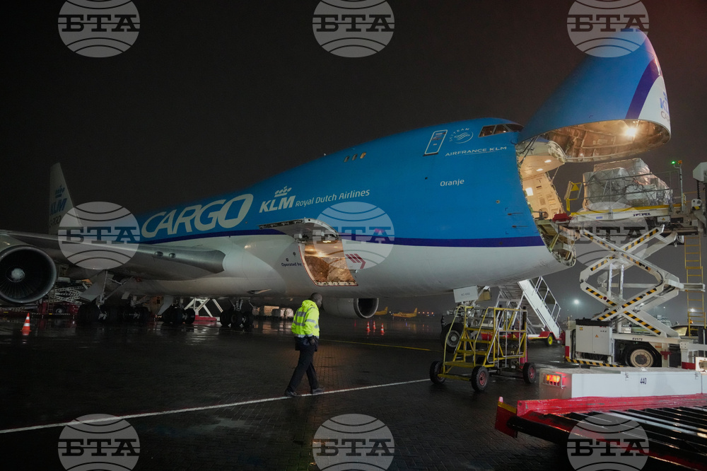 CORRECTION Kenya Mountain Bongos