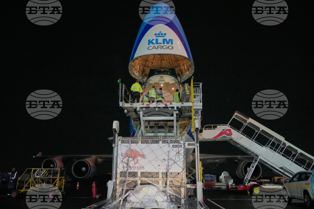 CORRECTION Kenya Mountain Bongos