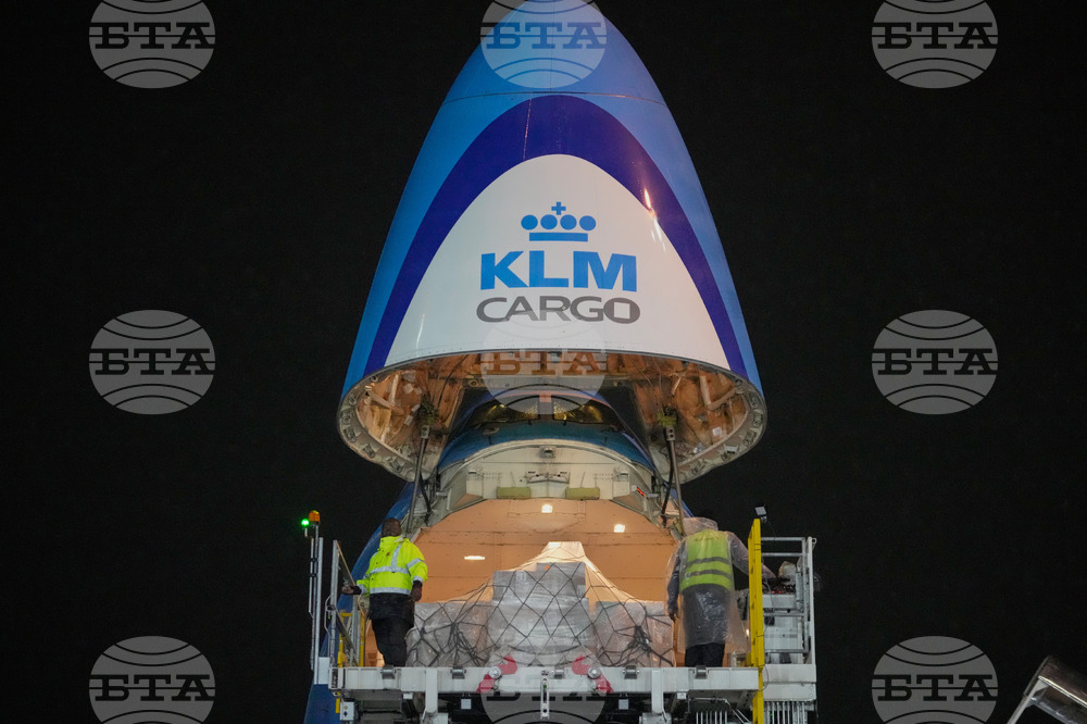 CORRECTION Kenya Mountain Bongos