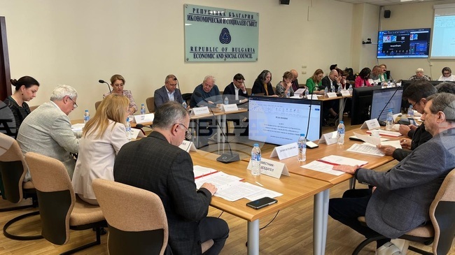 Economic and Social Council Calls for Review of Carbon Policies, Measures to Address High Electricity Prices
