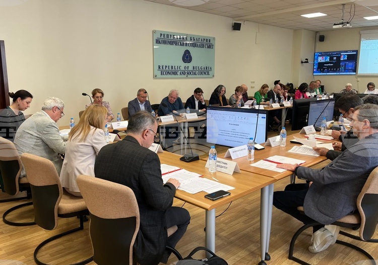 Economic and Social Council Calls for Review of Carbon Policies, Measures to Address High Electricity Prices