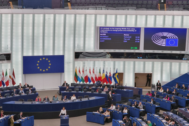 Европейският парламент разреши на евродепутатките да делегират правото си на глас по време на бременност