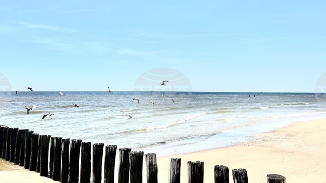 Белгийците ще почиват основно в Европа това лято, сочи проучване