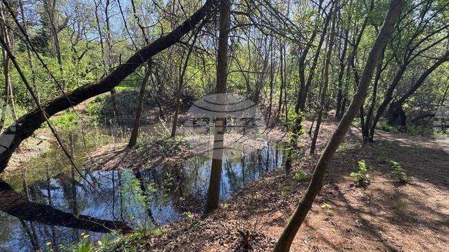 Ще се ускори работата по почистване и възстановяване на езерата в столичния Южен парк, съобщиха от Столичната община 