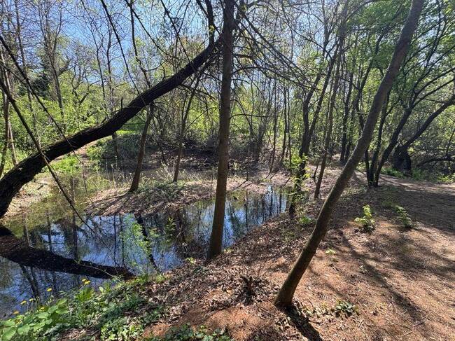 Ще се ускори работата по почистване и възстановяване на езерата в столичния Южен парк, съобщиха от Столичната община 