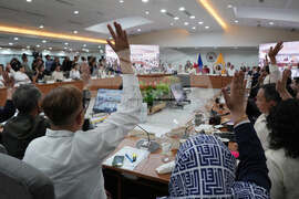 Philippines Vice President
