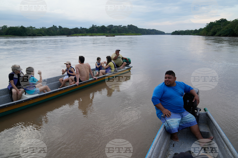 Colombia Hippos