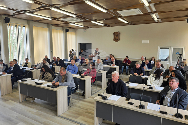 С близо 31 000 евро Община Видин ще дофинансира археологически разкопки