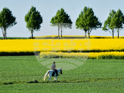Germany Daily Life