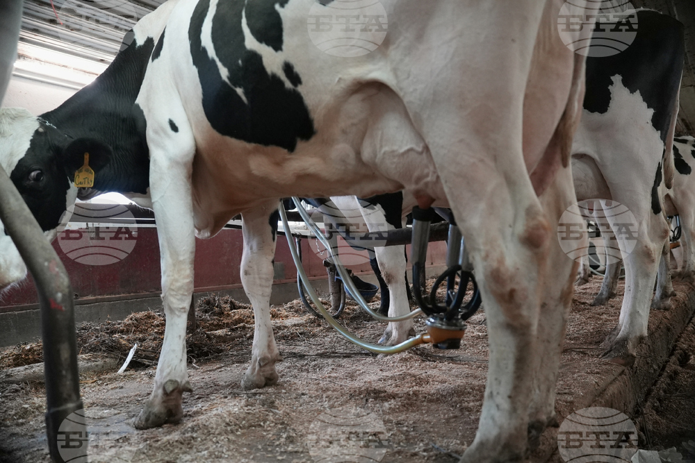 US-MED--Raw Milk-Legislation