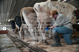 US-MED--Raw Milk-Legislation
