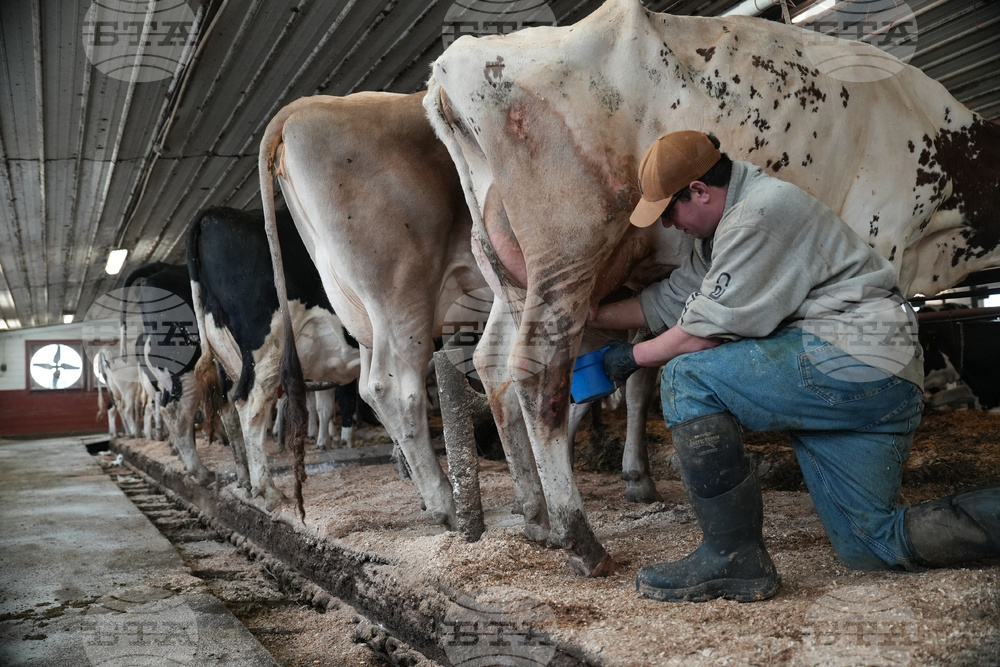 US-MED--Raw Milk-Legislation