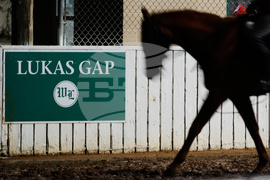 Kentucky Derby Post Lukas