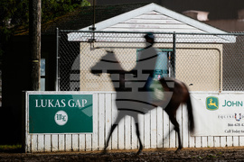 Kentucky Derby Post Lukas