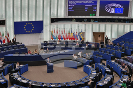 Белгия - Европейски парламент - Украйна - дебати