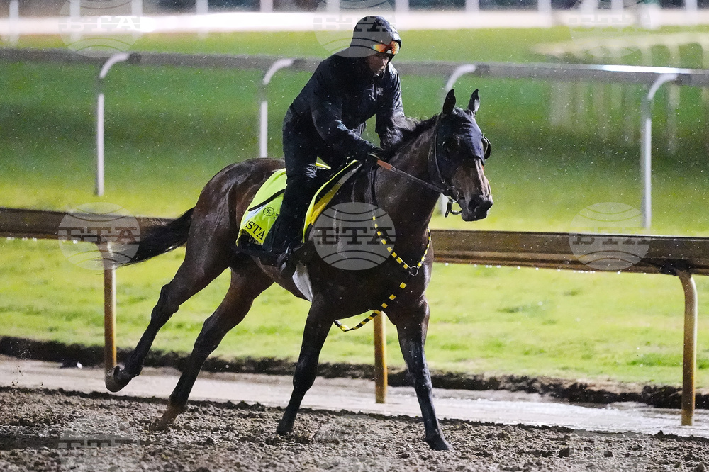 Kentucky Derby Horse Racing