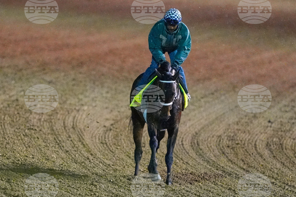 Kentucky Derby Horse Racing